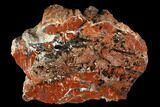 Polished, Petrified Wood (Araucarioxylon) - Red and Black #176985-1
